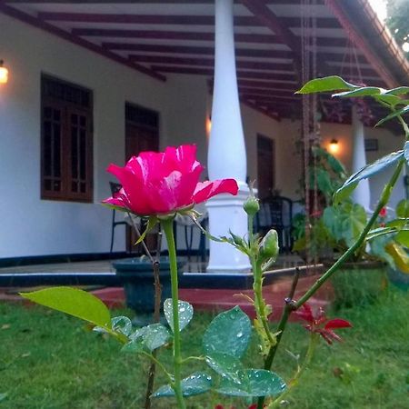 Danara Homestay Σιγκιρίγια Εξωτερικό φωτογραφία