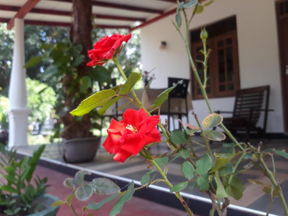 Danara Homestay Σιγκιρίγια Εξωτερικό φωτογραφία