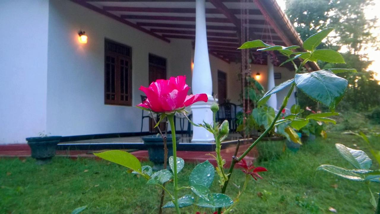 Danara Homestay Σιγκιρίγια Εξωτερικό φωτογραφία