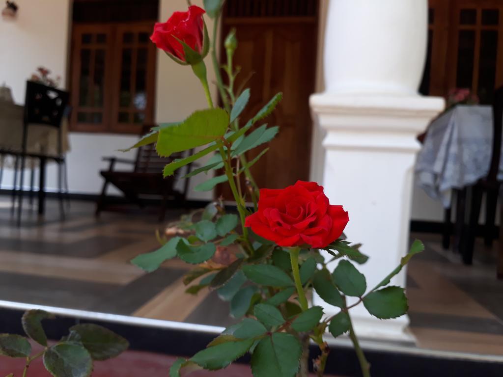 Danara Homestay Σιγκιρίγια Εξωτερικό φωτογραφία